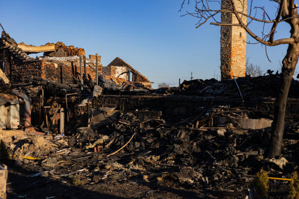 Reliable Content Restoration contractor in Bridgeport, TX by Meridian Smoke Damage